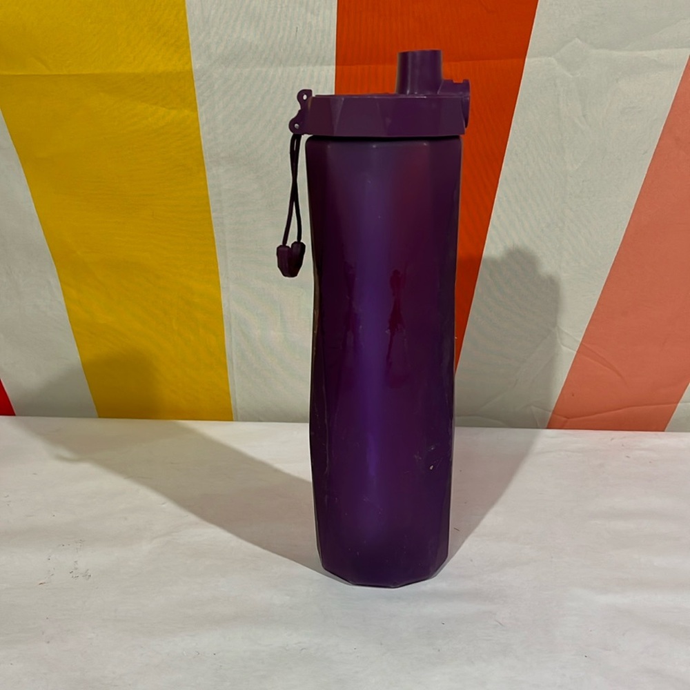 Hydrate spark 20 oz water bottle – purple plastic